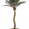 Dirbtinė Palmė Sago 120cm