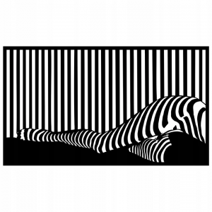 mergina zebras ažūrinis paveikslas